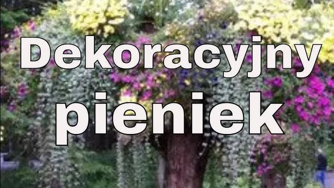Jak ozdobić drzewo w ogrodzie – kreatywne pomysły, które zachwycą każdego