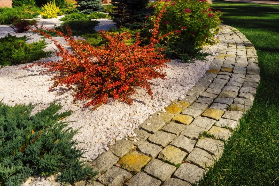 Czym myć kamienie ogrodowe? 7 skutecznych metod czyszczenia