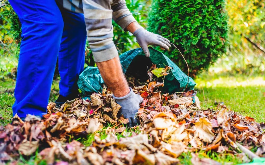 Jak przygotować ogród na zimę: 10 kluczowych kroków dla ogrodnika