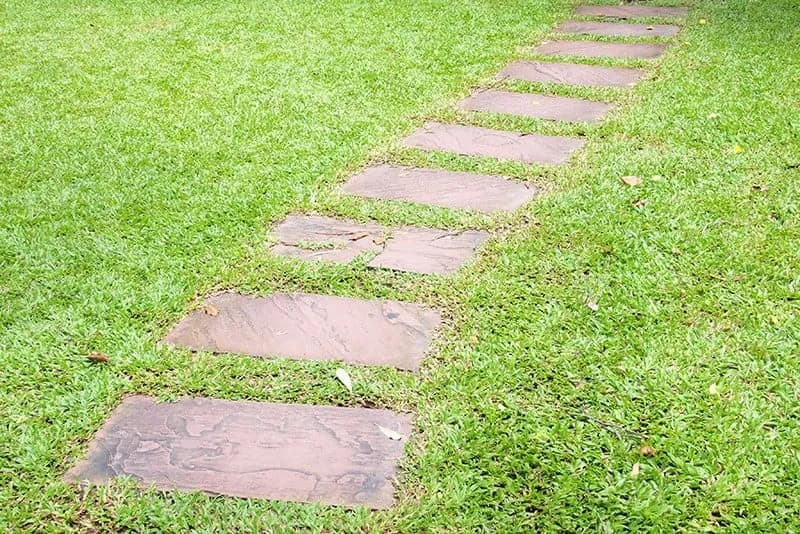 Jak wyłożyć ścieżki w ogrodzie? Najlepsze materiały i ich wady